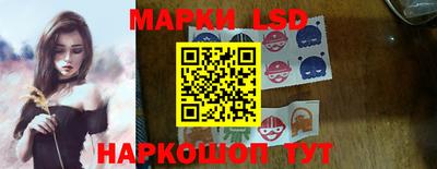 винт Сланцы