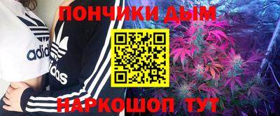 сатива Славгород