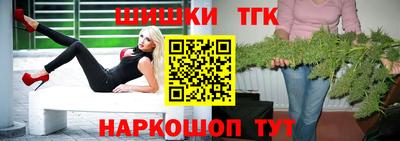 сатива Славгород