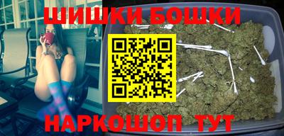 сатива Славгород